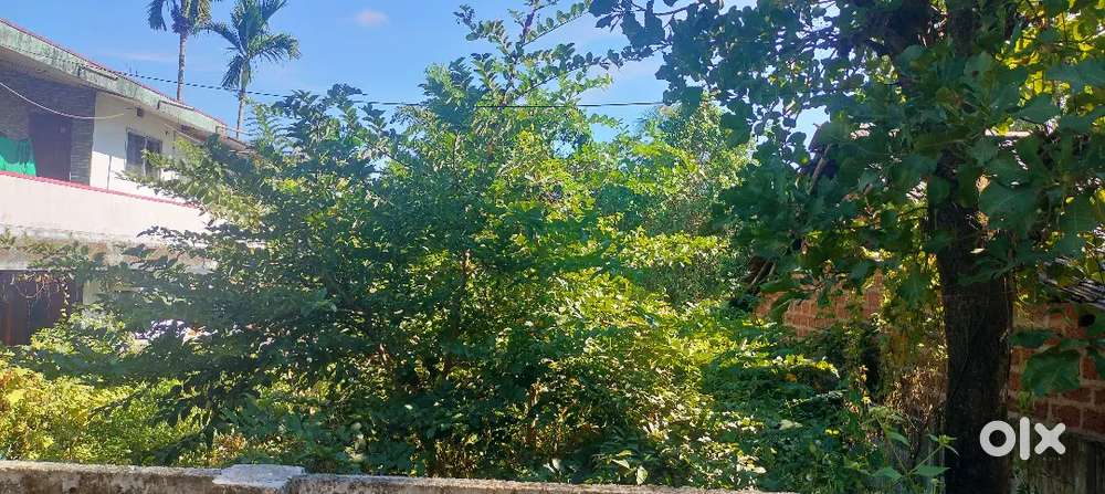 Clear title 2400 sqft residential site for sale in Sirsi