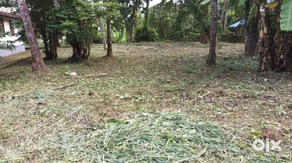 Land for sale in Chalad