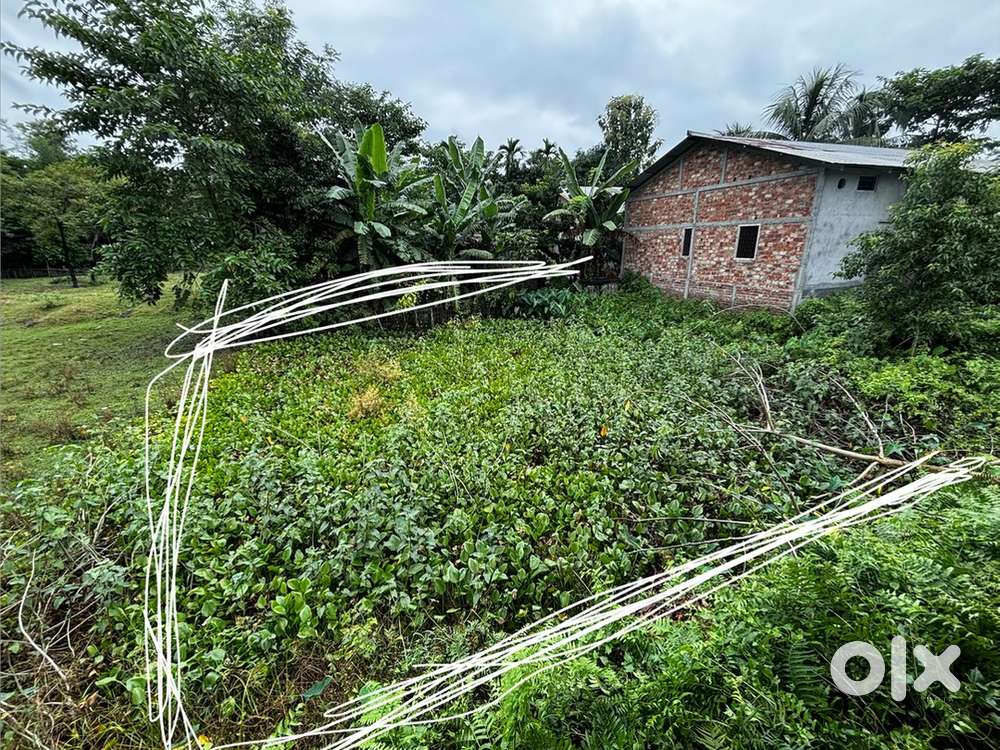 2 kotha 5 lesa (45 lessa) sarthebari, milan nagar