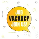 Telecalling, back office staff, team leader, document writing