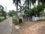 3.7 cent Commercial plot in MANNUTHY