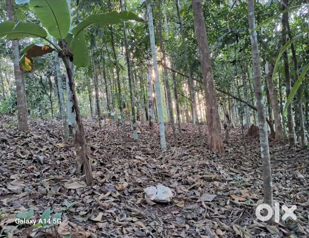 18.5 cent,near cherupuzha.