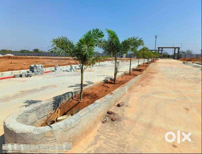 Diwali Bonanza! Ready-to-Build Plots @ ₹1099/sqft