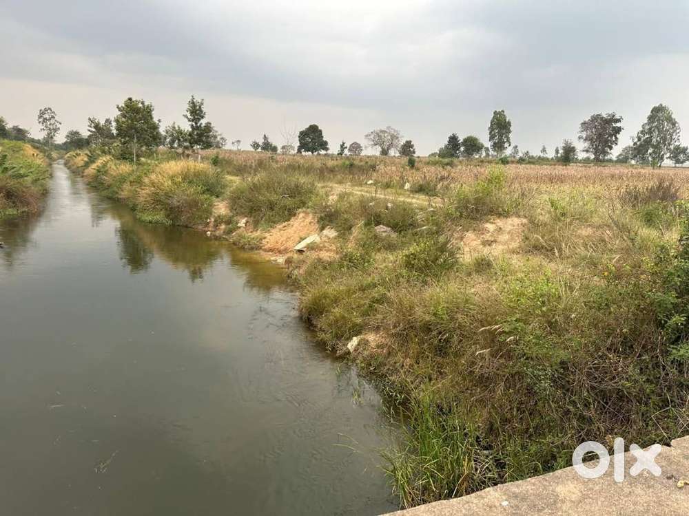 2 Acre channels water attached agri  Land for Sale – Belur (Towards Al