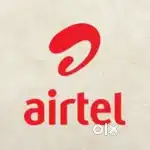 Customer relationship officer