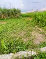 100 Gaj Plot For Sale
