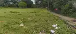 Farming land
