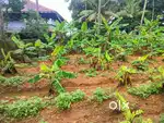 Residential Plot for Sale – Malikampeedika, Near Aluva