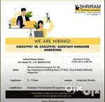 Marketing executive