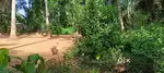 KOZHIKODE CHERUKULAM 9 cent HOUSE PLOT FOR SALE