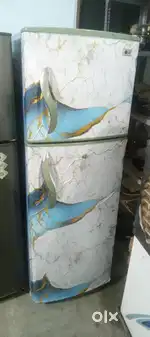 L g frig 250 litar warking