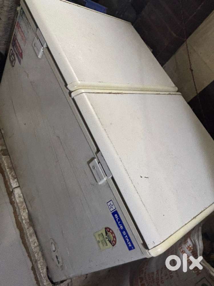 Blue star deep freezer