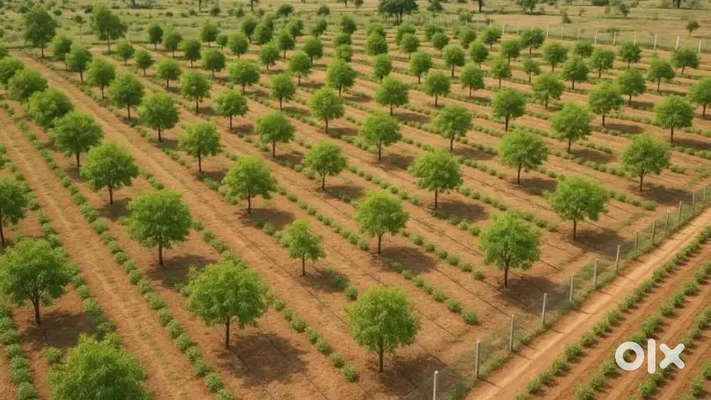 Invest Small, Earn Big! Sustainable Farm Income Model