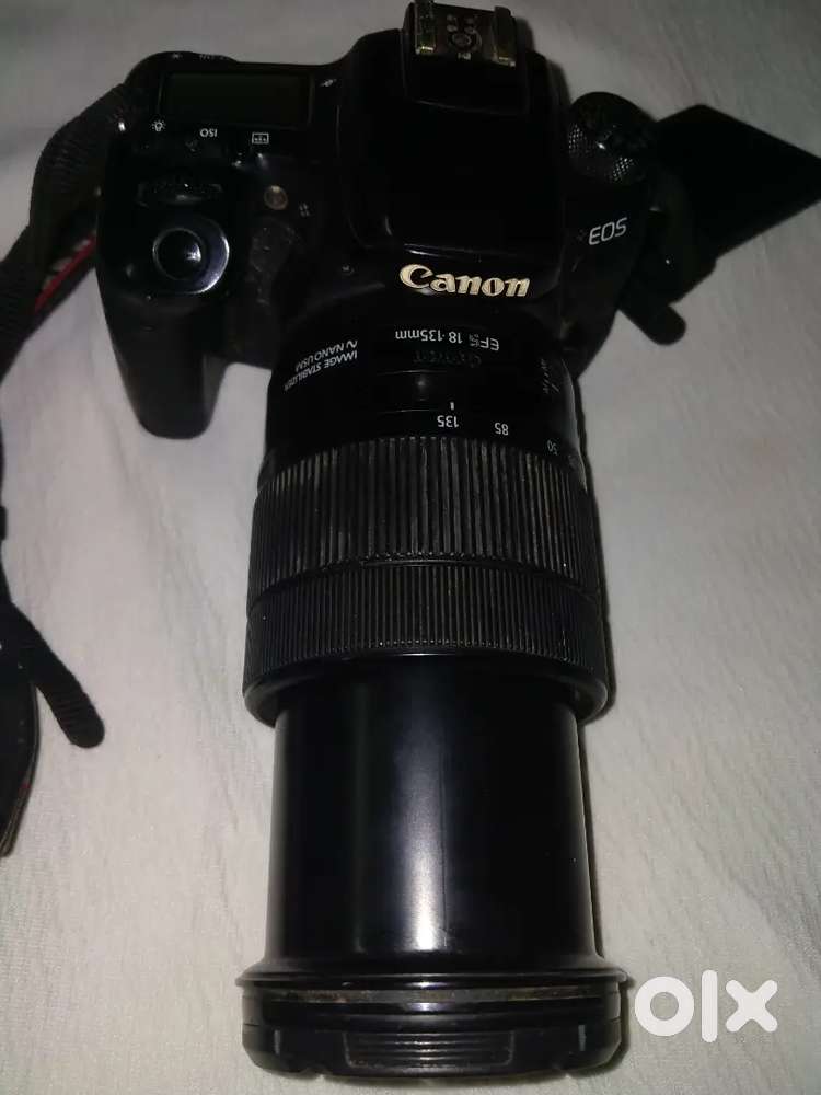 Canon 77d professional