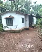 Rent / sale  5 cent and small House near kvms hospital ponkunnam.