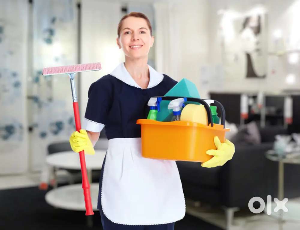 House cleaning maid