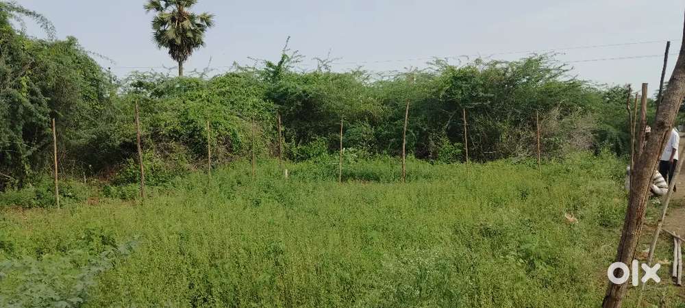 Plot for Sale at Konthamuru, RJY