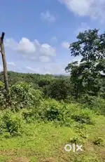 PLOT FOR SALE, USGAO COTHODEM, AREA-292 SQ MTR, PRICE@₹2200/SQ MTR