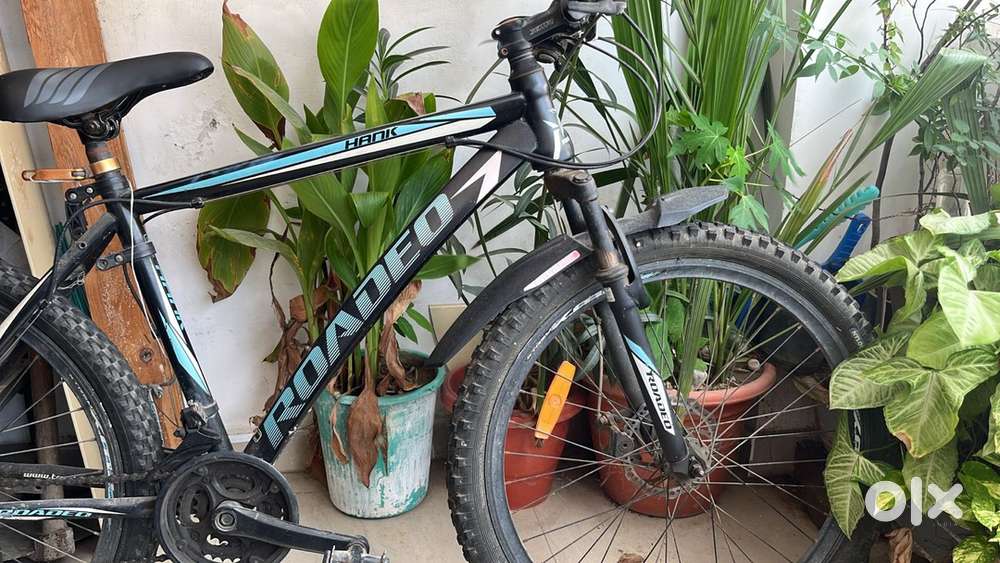 Rodeo cycle(urgent sale)