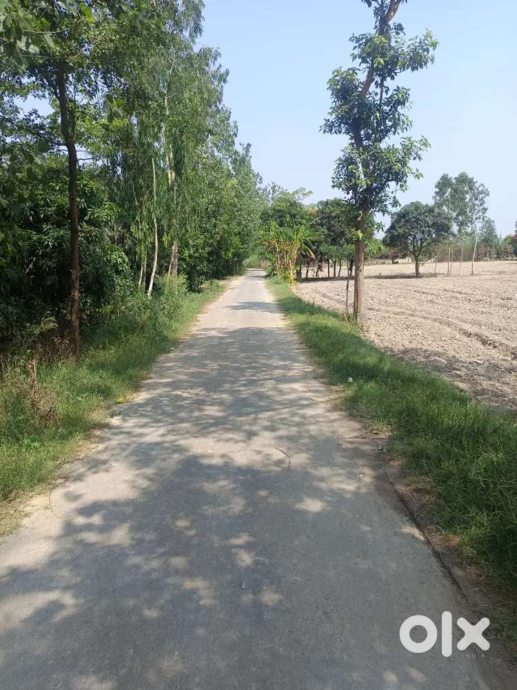 Agriculture land 30bege me