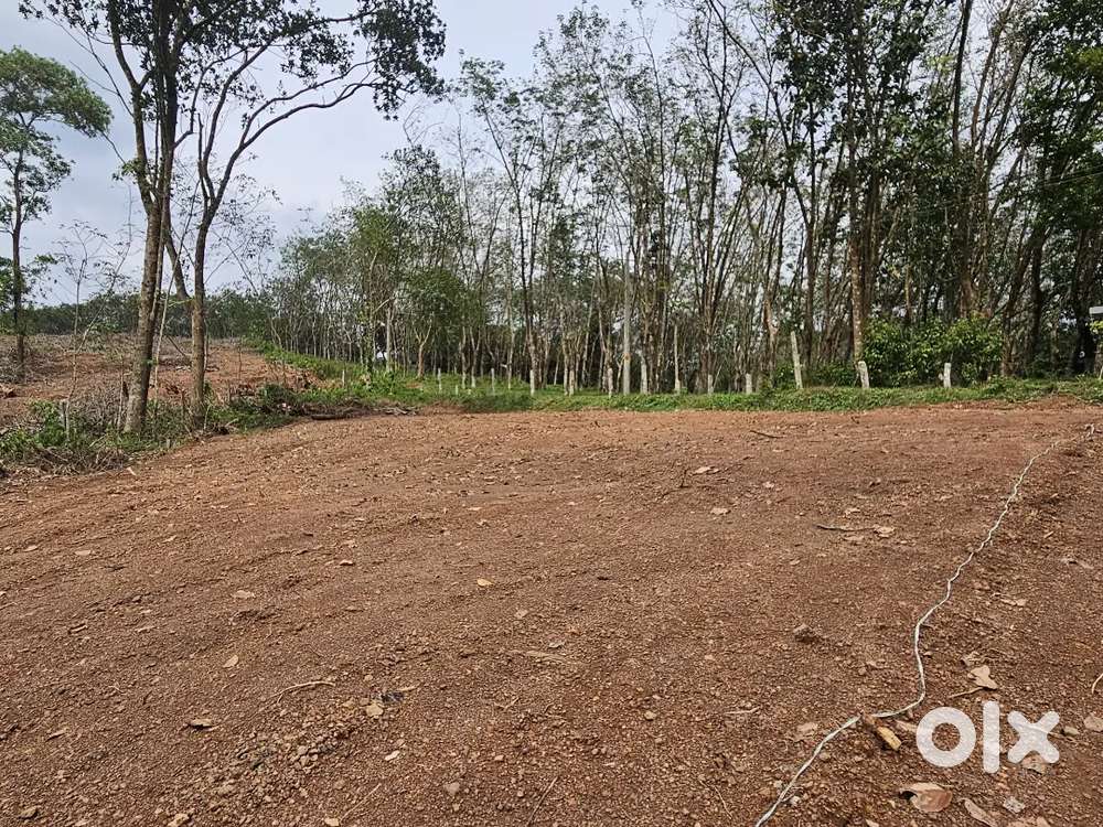 Plot for sale at Venkode near SUT Hospital Junction