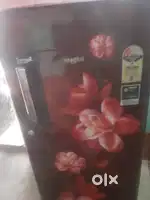 এই ফিজ টি  এক বছর কেনা , কোনো সমস্যা নেই