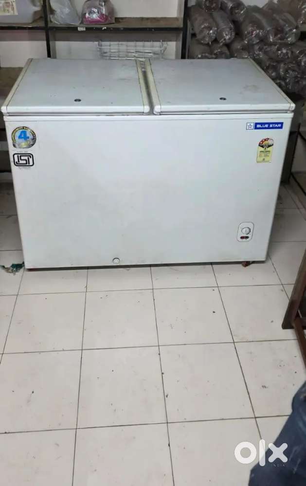 Blue star deep fridge