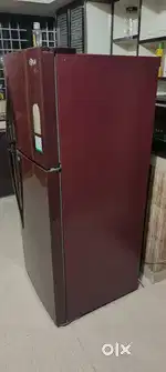 LG Fridge 237 Litter