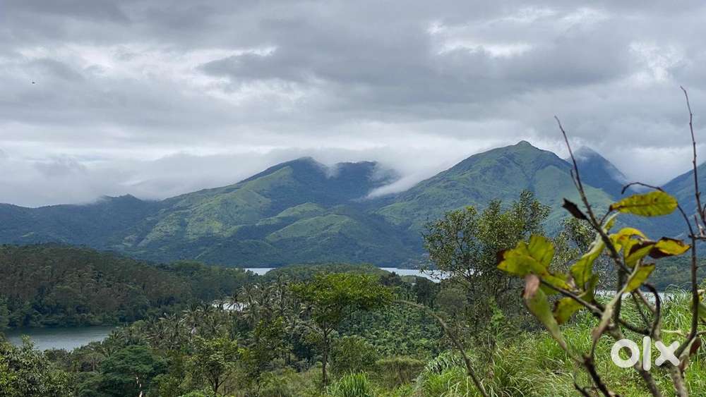 Prime lande near padinharathara for sale