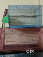 Love birds cage