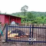 Farm house for sale 3.5 acre
