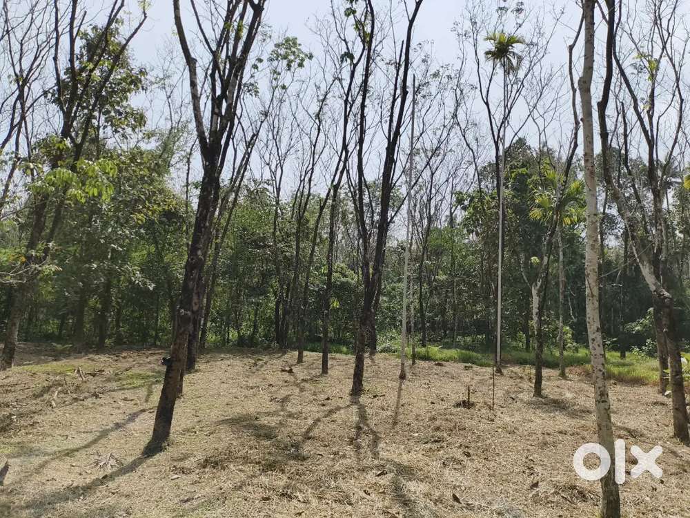 67cent rubber plot for sale