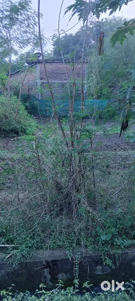 Plot 18 00so rupaye varg feat