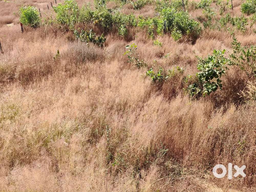 14 cents land for sale koteshwara near kaageri 400 mtr  state highway