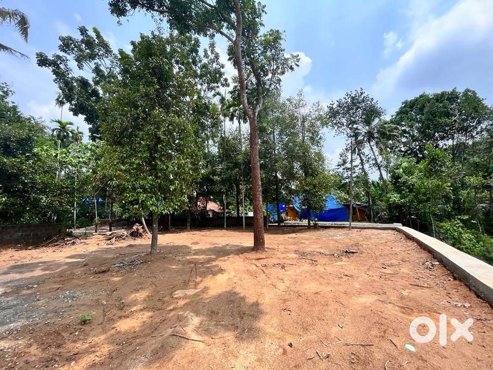 24 cent  house plot for sale at Aluva,