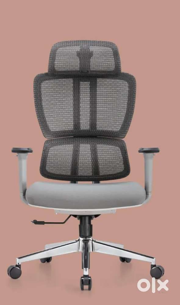 Looking for distributors