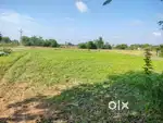 6 Acres agriculture land for sale, 64 lakhs for acre. Road side land