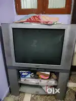 Telivision ( TV)