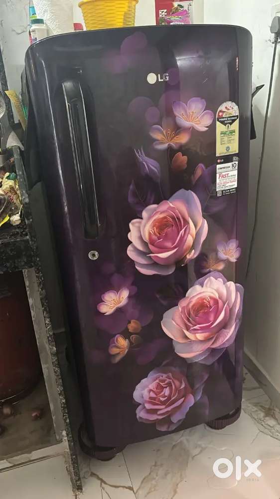 Lg fredge singal dor