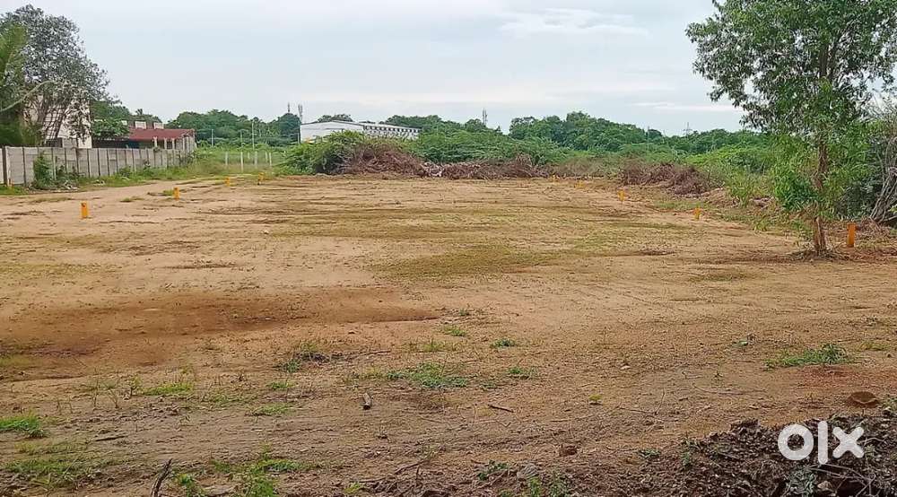 Panjapur bustand near ( nagamanglam)