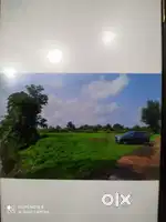 Farm land for sale
