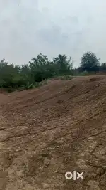 3 Kunal total land