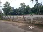 Land Sale 7 Cent Chettupuzha Olari Thrissur