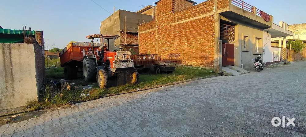 South-Facing Residential Plot for Sale in Shekha Mohalla, Sujanpur