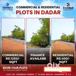 Daadr charoda bus station se 3 km duri par divertion plot uplabdh hai