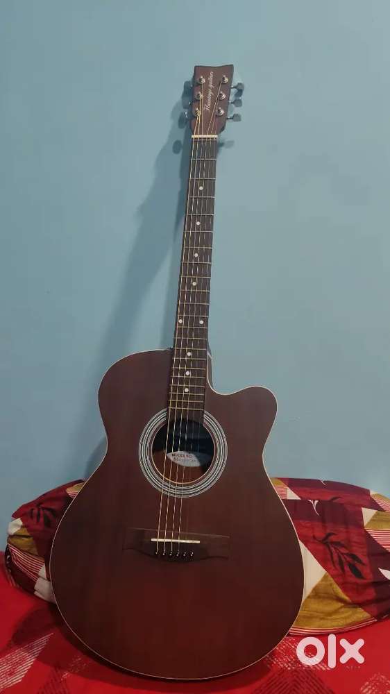 Flamingo autistic guitar