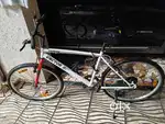 Top Gun Bicycle