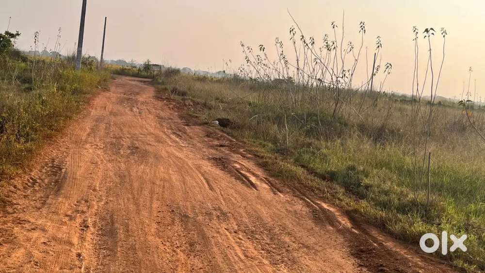 Plot for sale near bhagwanpur /patrapada