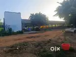 Poultry farm