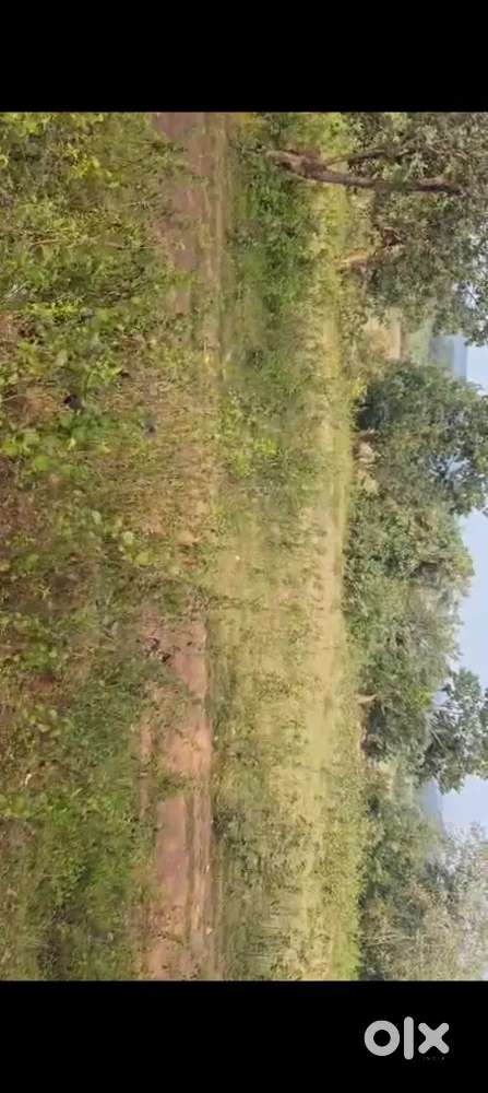 Plot near rungta mines koida